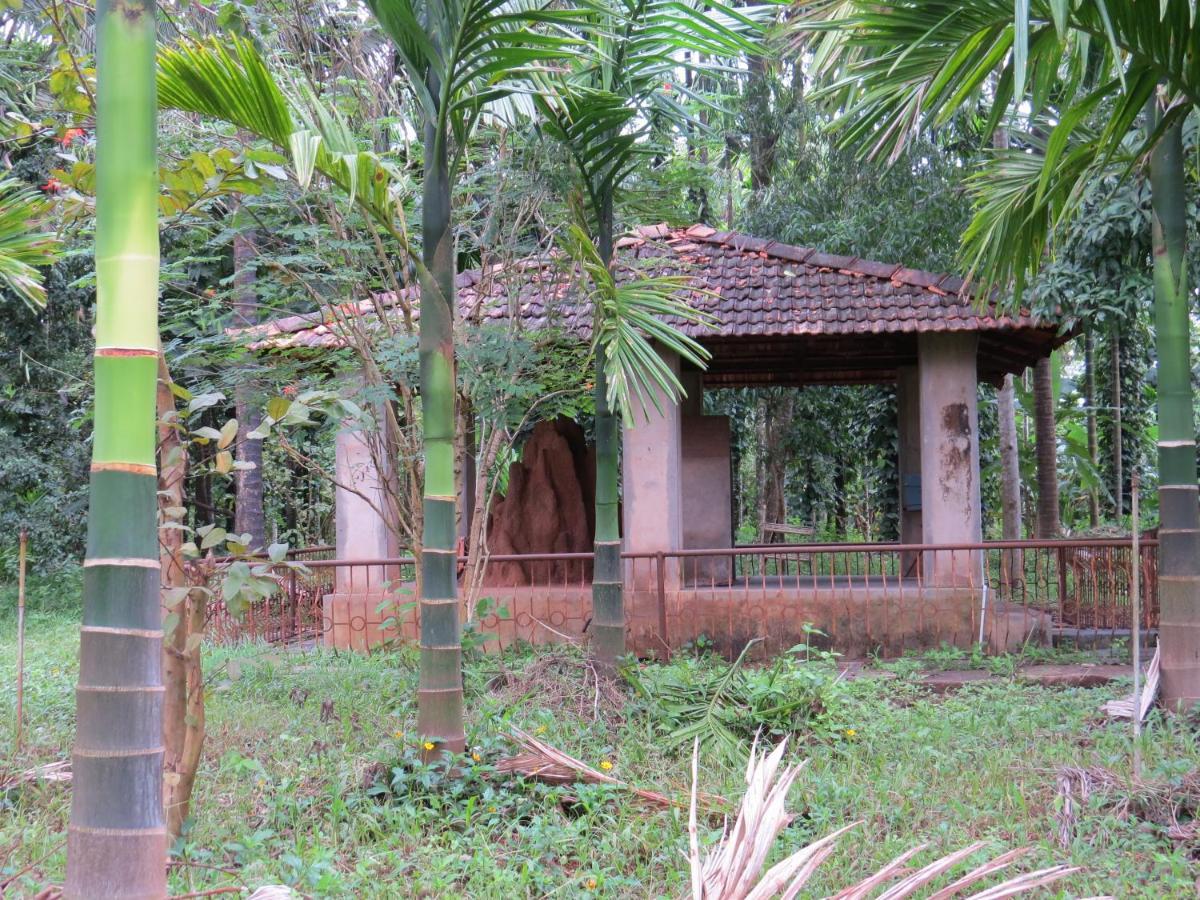 Sugamya Farm Guesthouse Sāgar Eksteriør bilde
